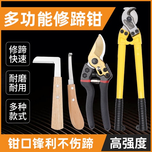 猪牛羊马修蹄刀物美价廉