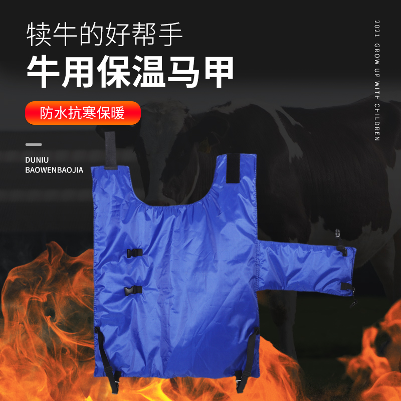 牛马甲,这个冬天不再冷牛