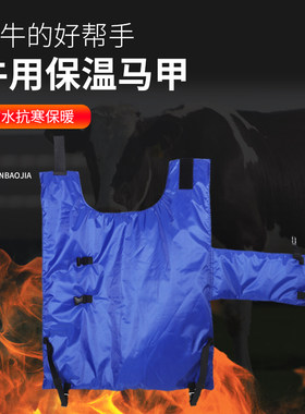 牛马甲,这个冬天不再冷牛