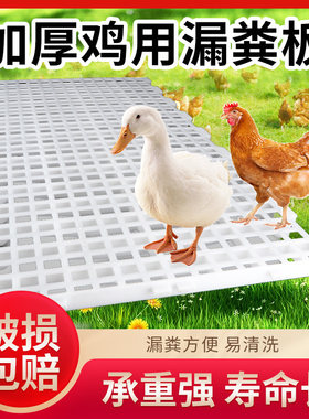 加厚耐用鸡用漏粪板家禽漏屎地垫