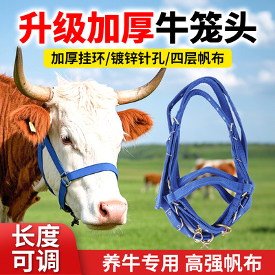 牛笼头套 牛嘴套 拴牛龙头 小牛 大牛龙头 牛龙头套 加厚 牛笼嘴