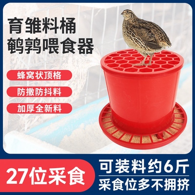 鹌鹑饲料桶防撒自动下料器喂食槽