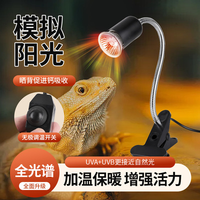 乌龟晒背灯爬宠陶瓷全光谱灯架