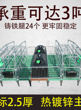 加强双体热镀锌复合板母猪产床铸铁猪产床分娩床单体母猪产床包邮