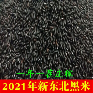 2025年新黑米黑龙江省五常特产黑香米无染色黑大米天然自产500克