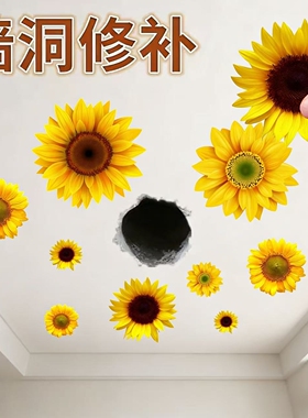 房顶补洞贴纸贴纸遮丑补洞地板木门瓷砖儿童房墙画自粘3d立体墙贴