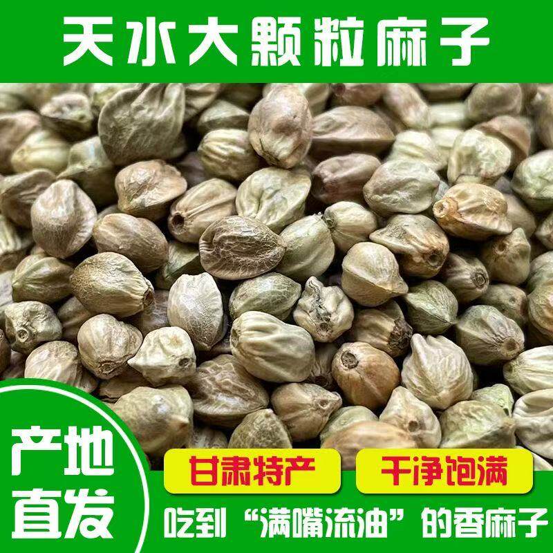 ¥人吃食用甘肃特产天水麻子500克包邮火麻子大粒新货特大颗粒麻