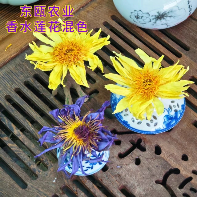 海南九品香水莲花茶叶台湾种观音莲叶花茶整朵30朵新品花茶佛茶