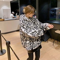 Зебра с капюшоном