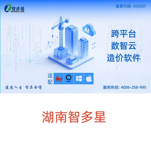 代做预算智多星工程造价软件在线版网络锁正版2025湖南2022云造价