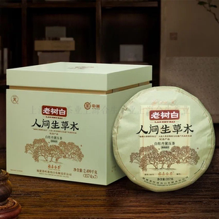 中茶白茶2023年5611老白茶人间生草木白牡丹茶饼357g 片