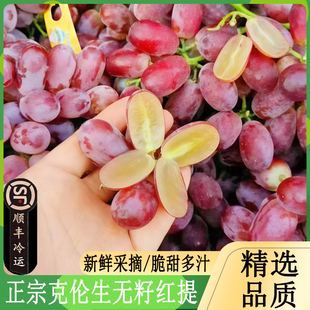 正宗新疆克伦生无籽红提4斤装新鲜应季孕妇水果脆甜多汁无核葡萄