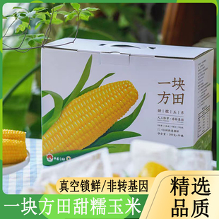 一块方田黄糯玉米礼盒装新鲜吉林公主岭甜苞米谷非转基因代餐粗粮