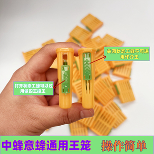 多功能蜂王笼囚王笼塑料中意蜂专用介王笼装蜂王储王器隔王工具