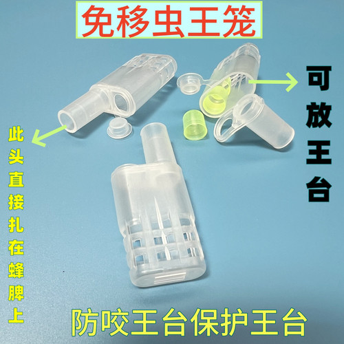 蜂王笼  养蜂工具 王台保护王笼 中蜂囚王笼 防咬王笼 塑料王笼