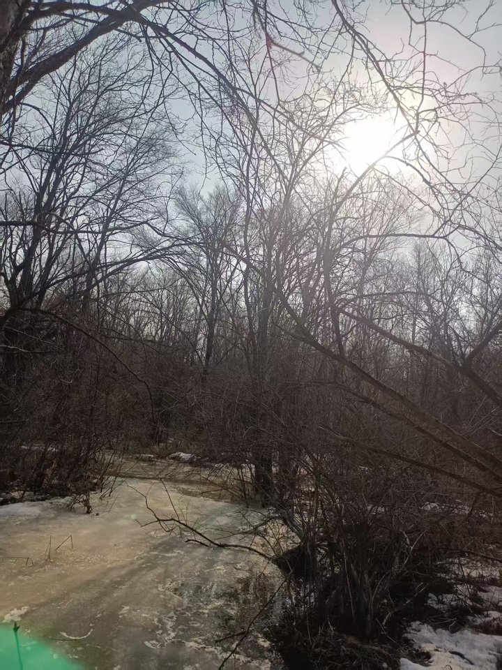 抚松县抚松镇清乡村村民委员会提供担保的位于兴参施业区2057林班18、70小班的林地使用权及地上林木（245.8575亩）