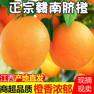 正宗江西安远脐橙现摘现卖新鲜带叶赣南脐橙产地直发江西橙子包甜