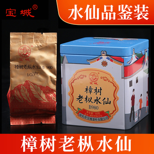 宝城樟树老枞水仙茶叶50克小泡装礼盒罐装乌龙茶岩茶B980