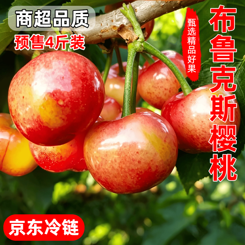 明年见山西布鲁克斯大樱桃自家果园新鲜水果车厘子脆甜现摘现发