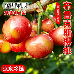 明年见山西布鲁克斯大樱桃自家果园新鲜水果车厘子脆甜现摘现发