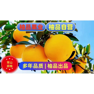 衢州特产常山胡柚微苦酸甜