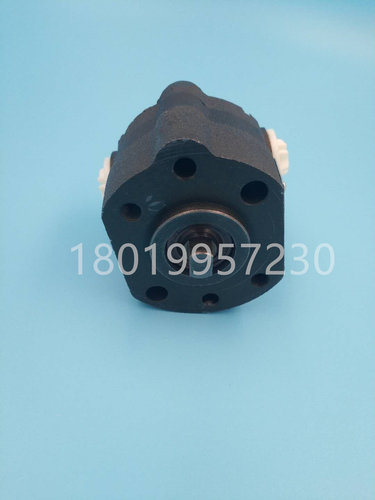 BYD比亚迪叉车CPD30转向助力液压油泵ZXB-N-03-5方向泵TCP-034-C