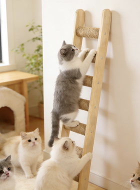 猫爬梯猫爬架猫柜猫笼猫别墅猫窝配件猫梯子攀爬梯宠物楼梯小户型