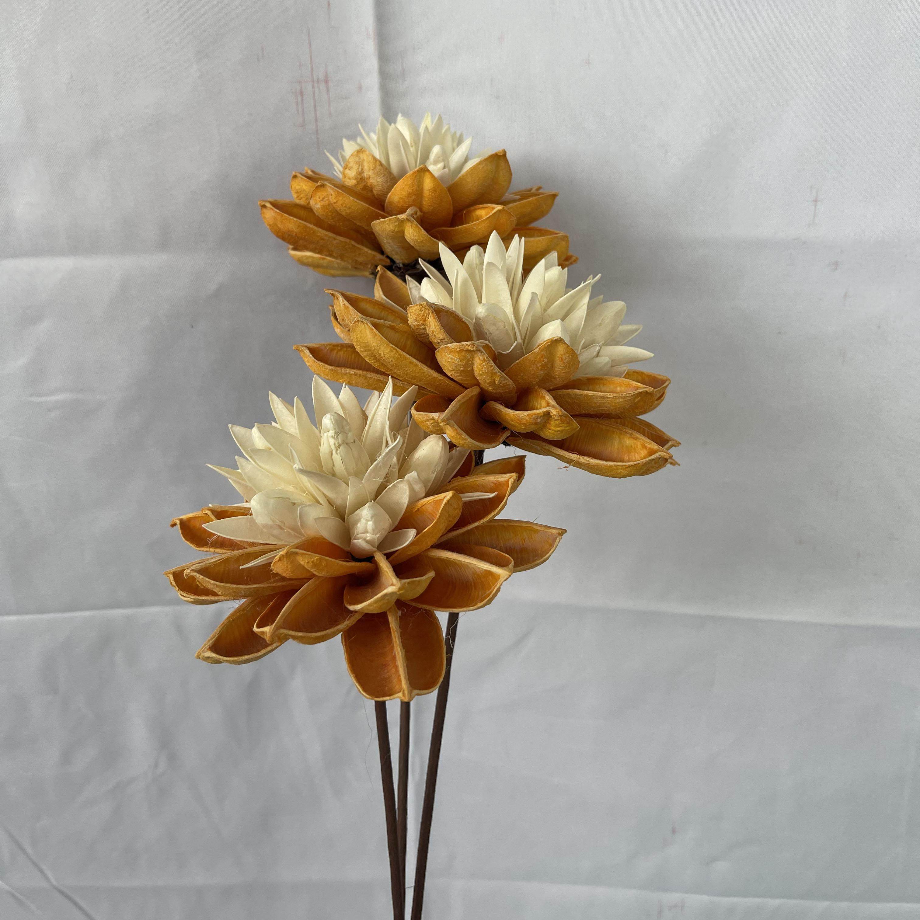 客厅云南干花手工永生花