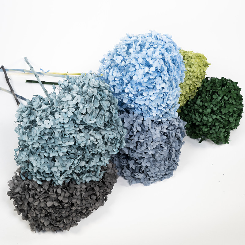 永生花绣球花束整支A级单支安娜小叶家居插花diy装饰求婚情人节,鲜花速递/花卉仿真/绿植园艺,永生花,淘宝优惠券,粉丝福利购,淘宝优惠卷