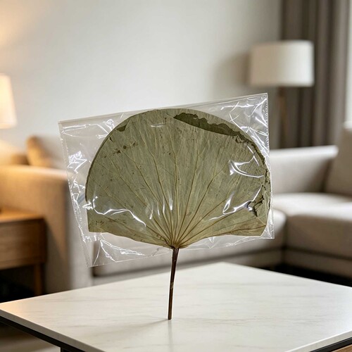 荷花叶永生花干花天然真花婚庆节日派对软装家装展厅diy设计材料