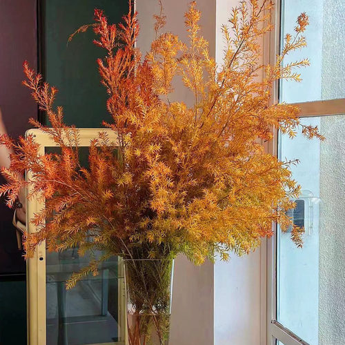 千层金永生花千层金家居软装