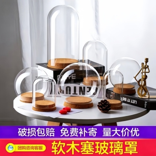 包邮diy手工干花手办盲盒防尘玻璃罩标本容器软木塞玻璃瓶桌摆件