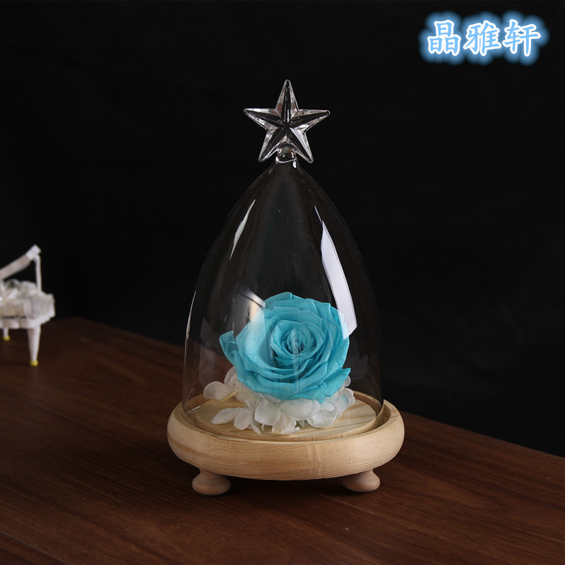 情人节圆锥玻璃五角星微景观礼物