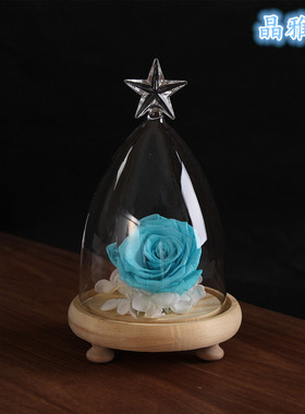 情人节圆锥玻璃五角星微景观礼物