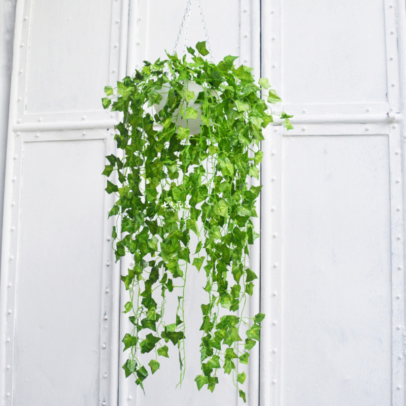 仿真葡萄叶假花藤条藤蔓植物树叶绿叶壁挂绿萝叶假花爬山虎装饰