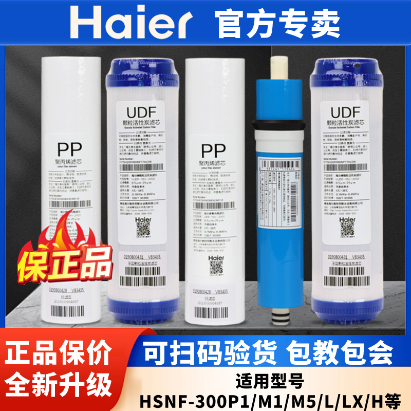 海尔施特劳斯净水器滤芯HSNF-300M1/M5/P1H/L/M/HL/HLJ原装过滤芯