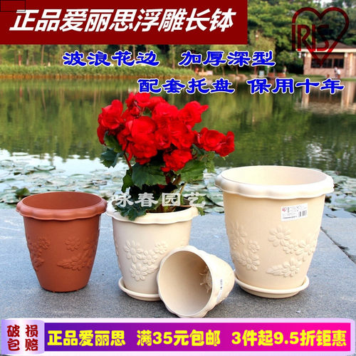 爱丽丝长钵浮雕花盆爱丽思塑料