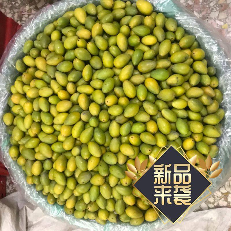 潮汕中国大陆金灶小三棱新鲜青橄橄榄