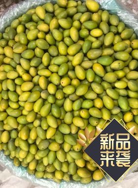 潮汕中国大陆金灶小三棱新鲜青橄榄果 纯香有味孕妇水果500g包邮