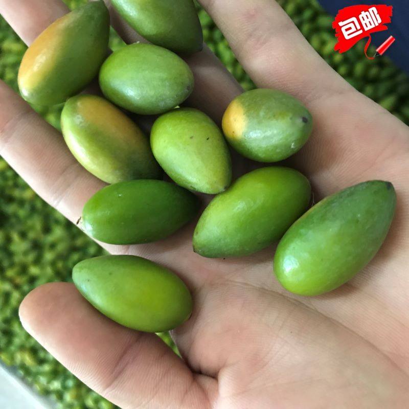 特甜一号新鲜青果橄榄 鲜水果现摘现发 潮汕特产可生吃青包邮榄