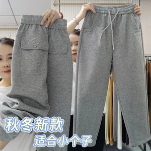 欧货秋季爆款运动休闲裤女士加厚保暖高腰显瘦百搭直筒小脚哈伦裤