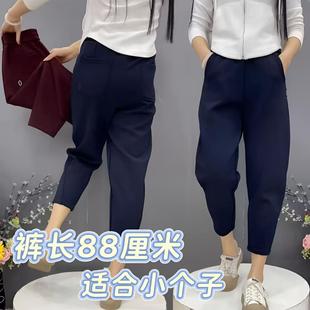 秋冬新款休闲运动裤女大码高腰加绒加厚保暖显瘦小个子九分哈伦裤