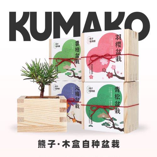 日式植物盆栽熊子植物园木盒盆栽