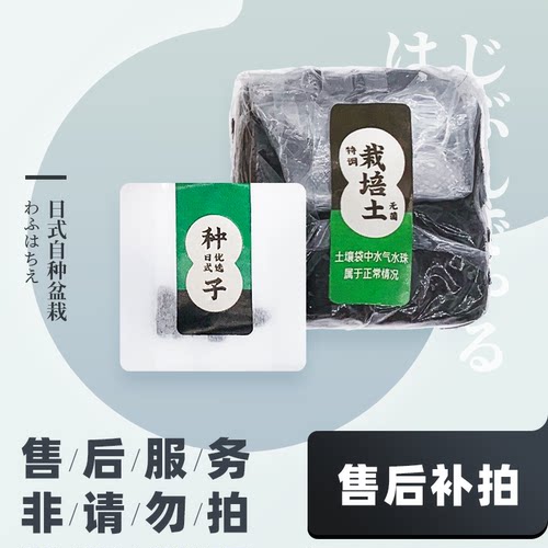 熊子安心服务 必须备注盆栽品种！补发种子土壤专用 客服邀请再拍