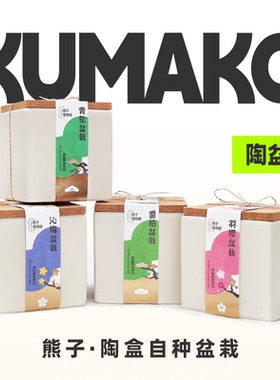 日式自种盆栽涂鸦彩绘diy桌面办公室摆设创意生日礼物儿童小花农