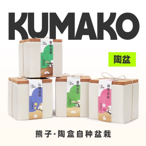 涂鸦盆栽小花农DIY朋友老师礼物