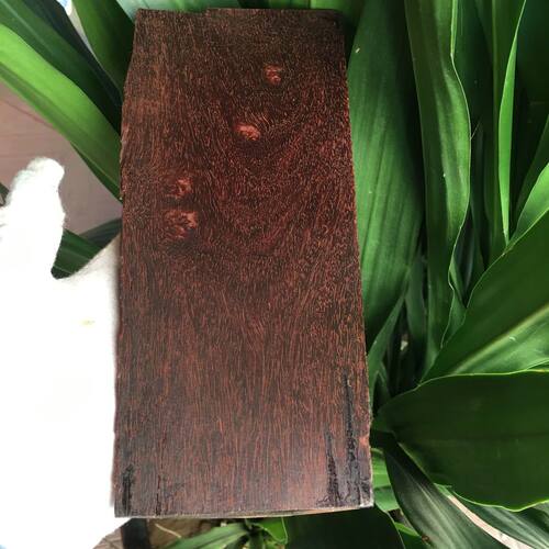 印度小叶紫檀老料原木板料金星牛毛树瘤疤癭子纹泥无事牌家具B