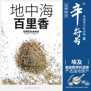 百里香 地中海进口百里香 牛至鼠尾草迷迭香马郁兰欧芹百里香组合