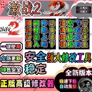 激战2修改器 2魔法 激战2辅助 Wars 安全 激战2官服用Guild 激战2