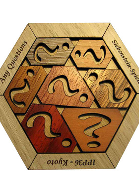 Siebenstein-Spiele任何问题拼图Any Questions木质益智烧脑谜题
